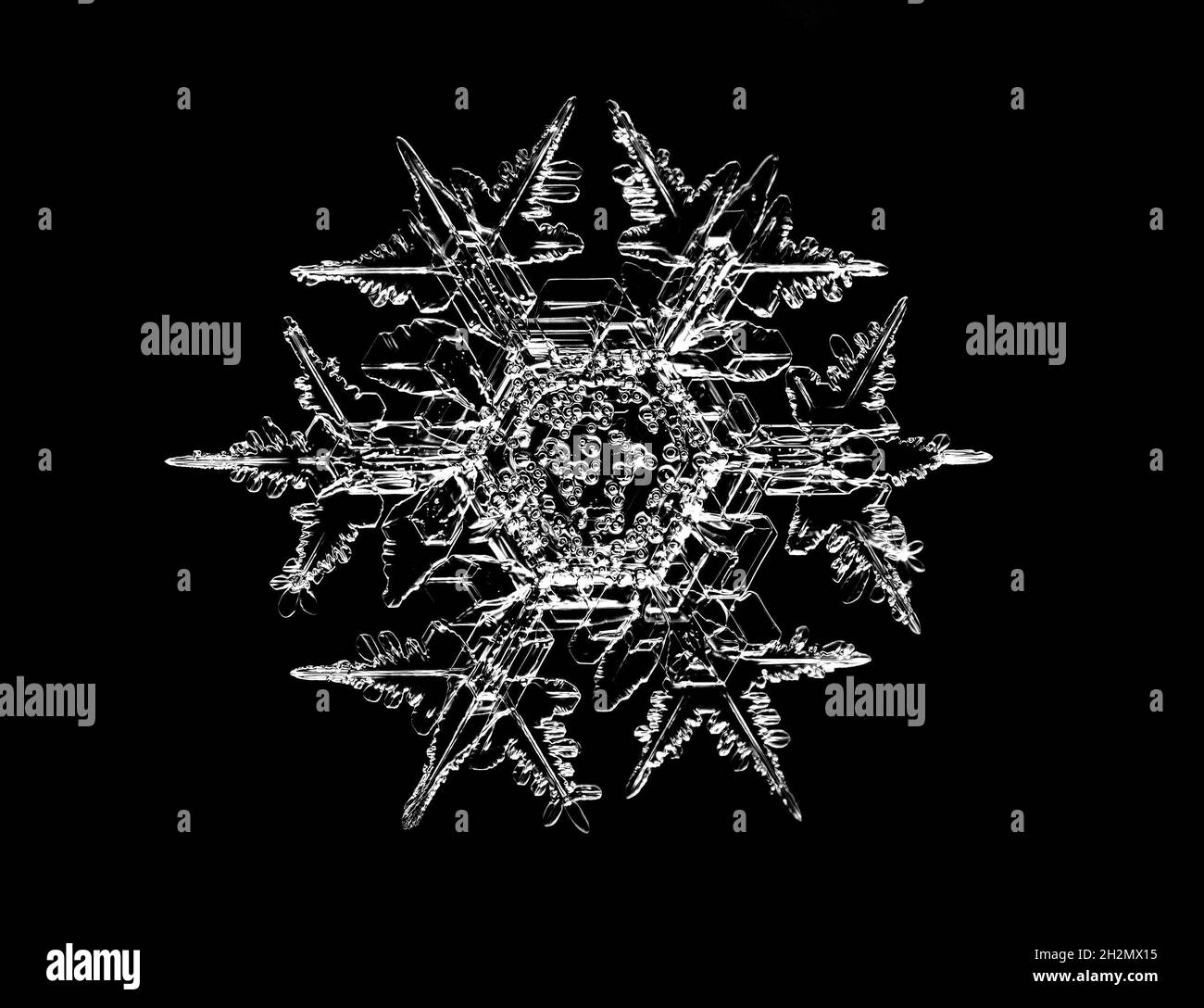 Weiße Schneeflocke isoliert auf schwarzem Hintergrund. Illustration basierend auf Makrofoto von echtem Schneekristall: Elegante Sternplatte mit kurzen, breiten Armen Stockfoto