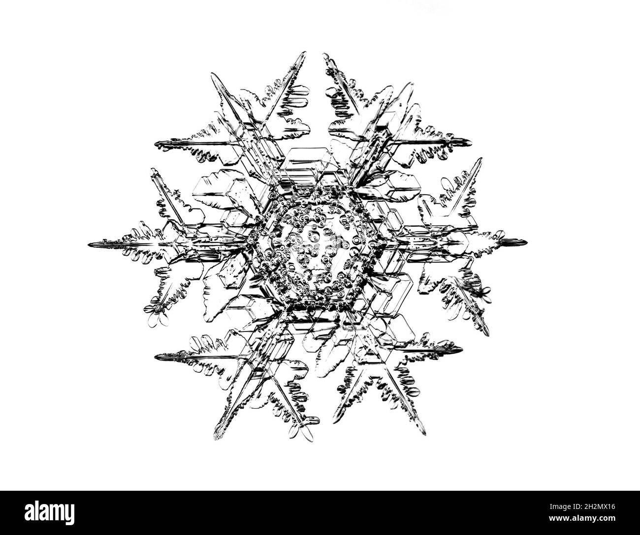 Schwarze Schneeflocke isoliert auf weißem Hintergrund. Illustration basierend auf Makrofoto von echtem Schneekristall: Elegante Sternplatte mit kurzen, breiten Armen Stockfoto