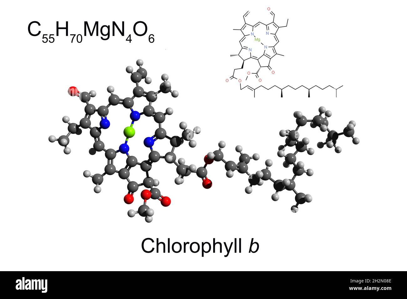 Chemische Formel, Skelettformel und 3D-Ball-and-Stick-Modell des Pigments Chlorophyll b, weißer Hintergrund Stockfoto