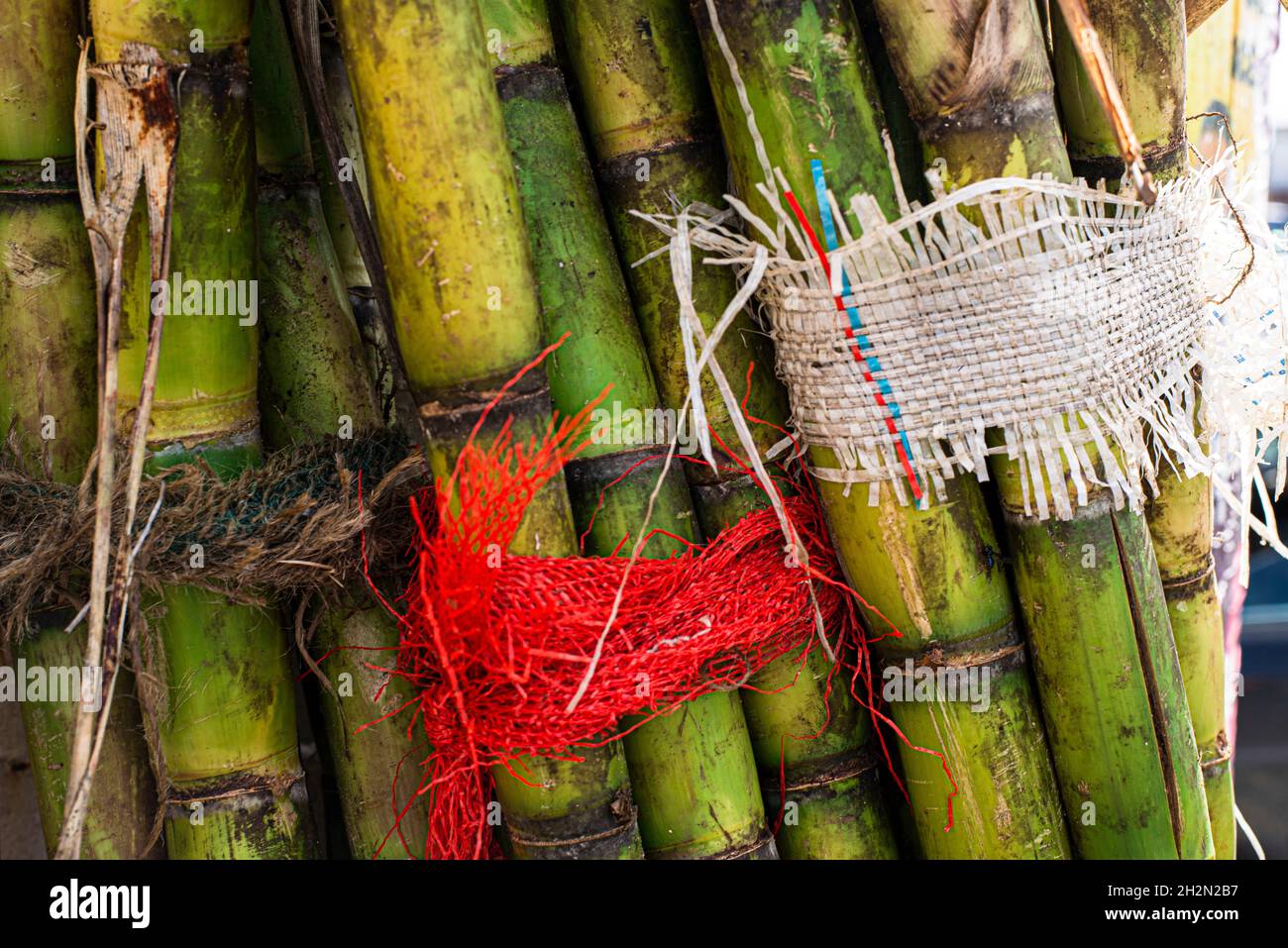 Gesunde und bunte Früchte zum Verkauf auf der Messe Sao Joaquim. Salvador, Bahia, Brasilien. Stockfoto