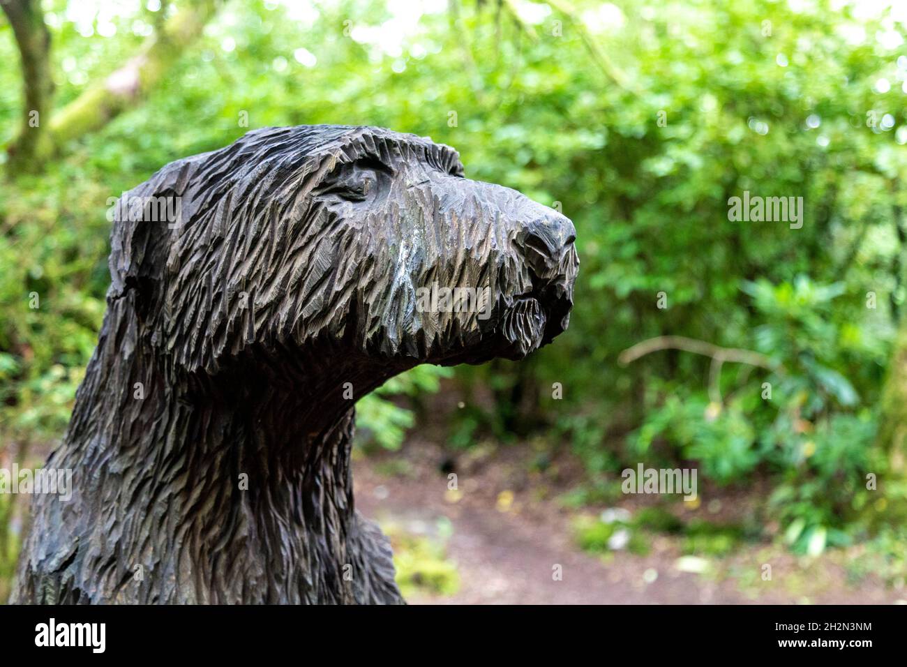 Hölzerne Hundeskulptur auf dem Hundefriedhof im Morfa Harlech Nature Reserve in der Nähe von Portmeirion, Snowdonia, Wales, Großbritannien Stockfoto