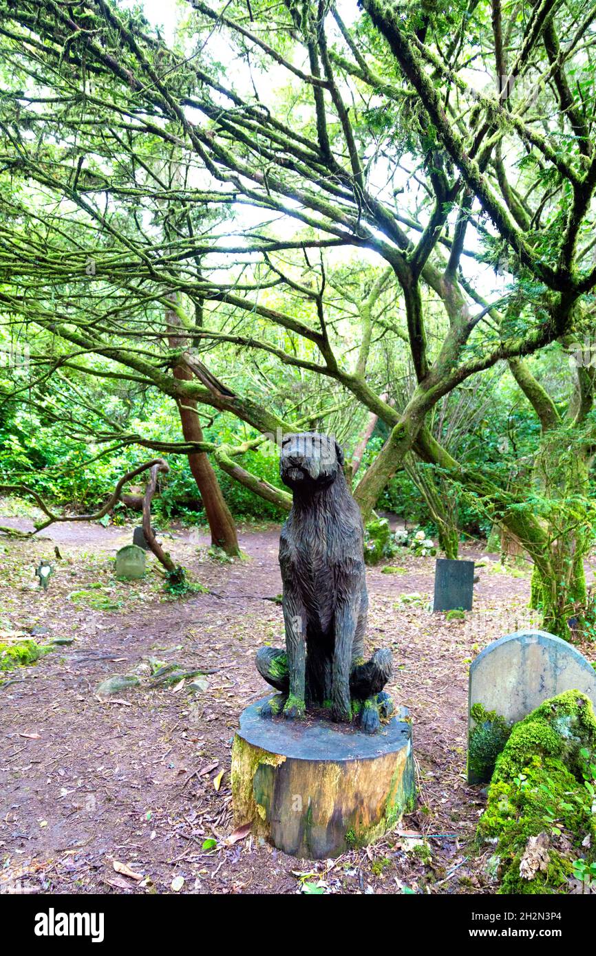 Hölzerne Hundeskulptur auf dem Hundefriedhof im Morfa Harlech Nature Reserve in der Nähe von Portmeirion, Snowdonia, Wales, Großbritannien Stockfoto