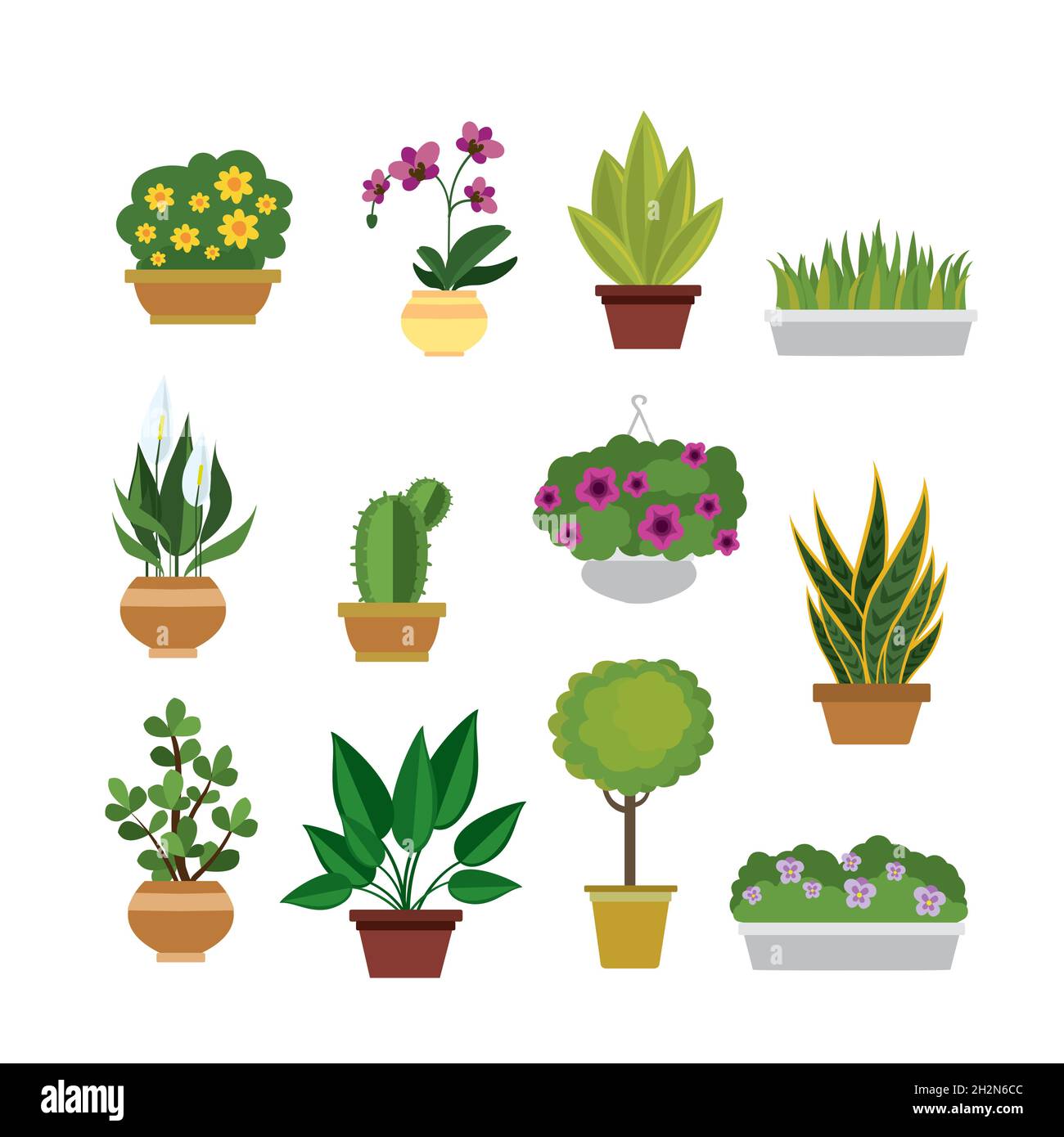 Haus Blumen und Pflanzen in Töpfen, Satz von Cartoon Natur Symbole oder  Elemente, isoliert auf weißem Hintergrund, flache Vektor-Illustration  Stock-Vektorgrafik - Alamy