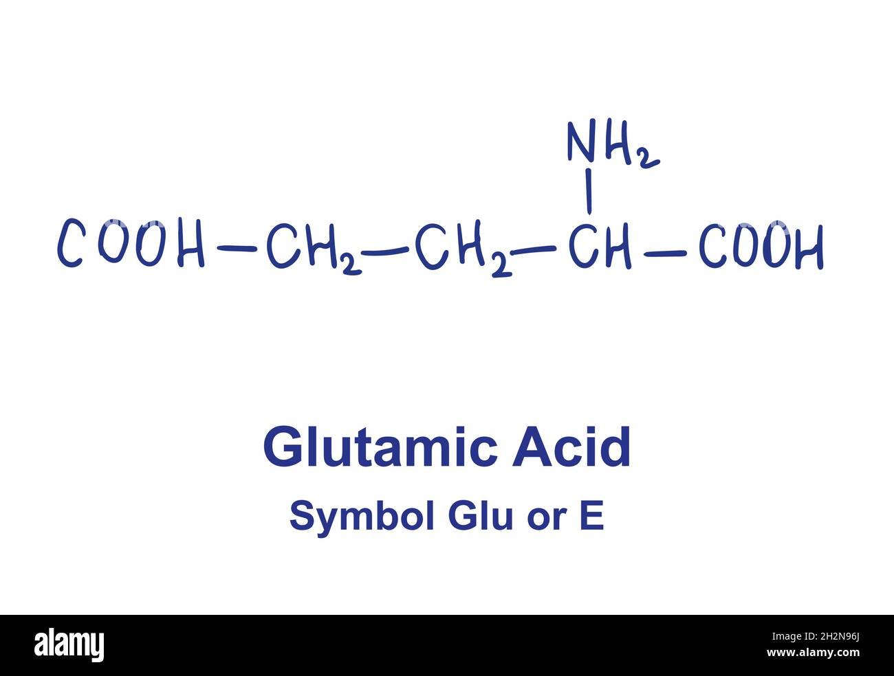 Glutamin aside chemische Struktur. Vektorgrafik von Hand gezeichnet Stock Vektor