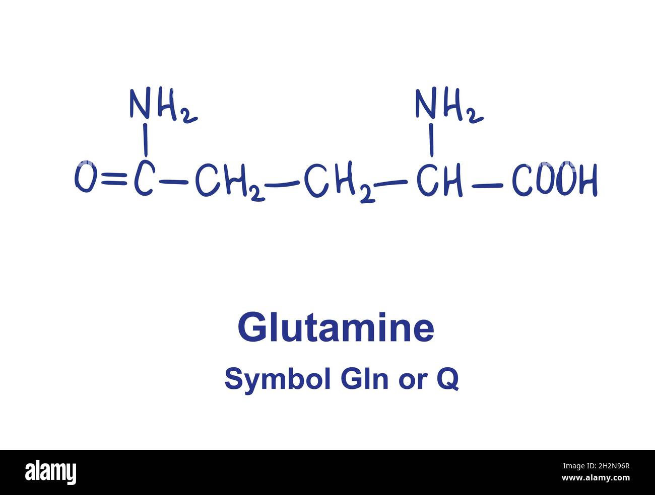Glutamin chemische Struktur. Vektorgrafik von Hand gezeichnet Stock Vektor