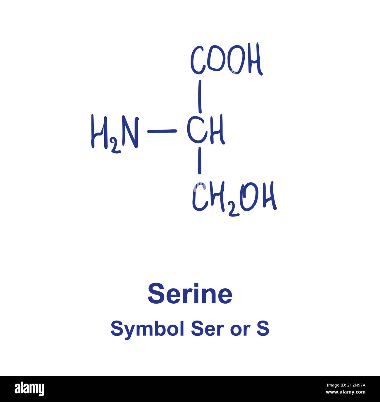 Chemische Struktur der Serine. Vektorgrafik von Hand gezeichnet Stock Vektor