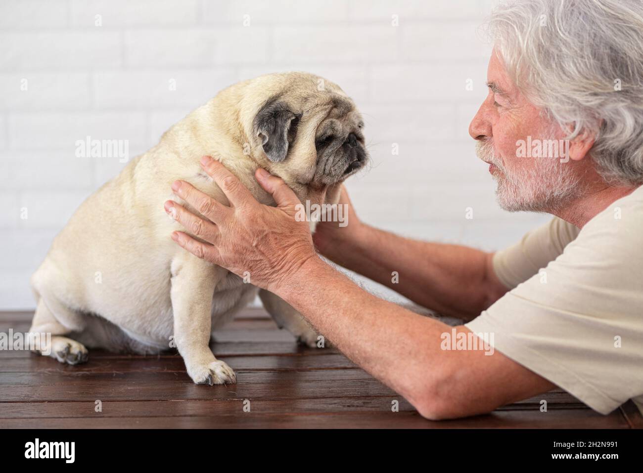 Mann, der mit Hund auf dem Tisch spielt Stockfoto