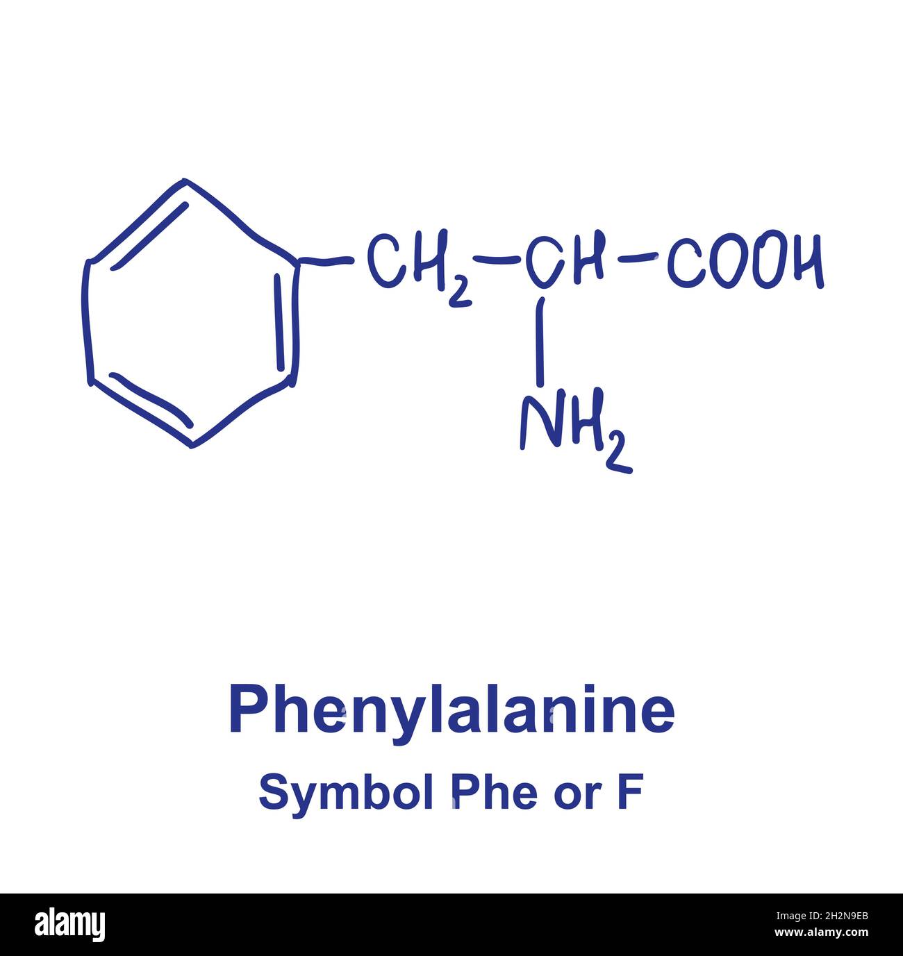 Phenylalanin chemische Struktur. Vektorgrafik von Hand gezeichnet. Stock Vektor