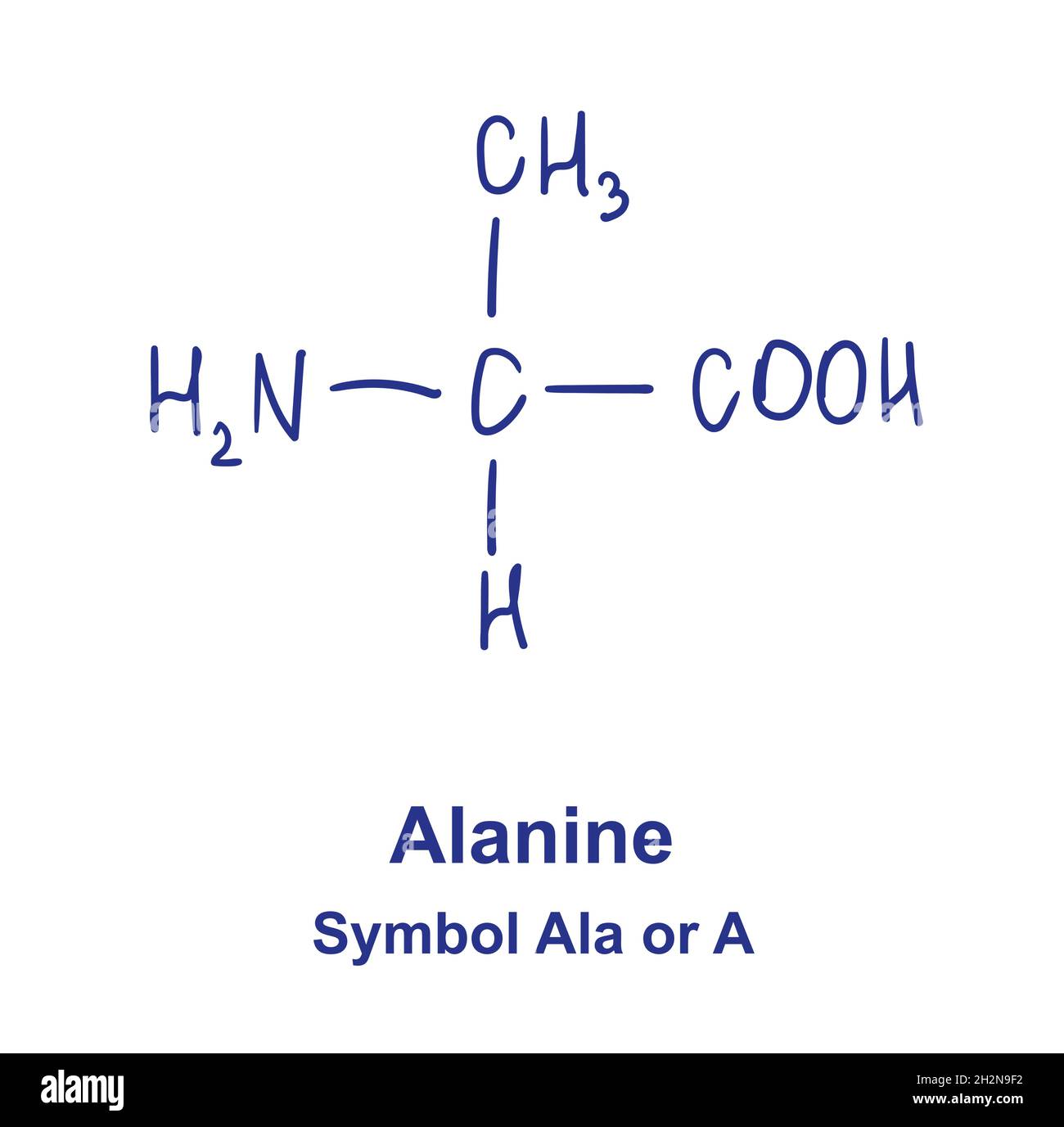 Alanin chemische Struktur. Vektorgrafik von Hand gezeichnet Stock Vektor