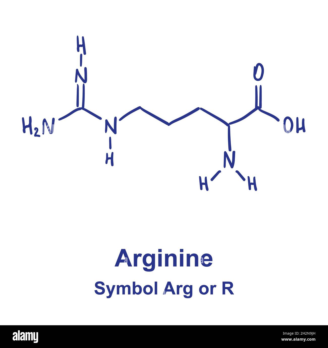 Chemische Struktur von Arginin. Vektorgrafik von Hand gezeichnet Stock Vektor