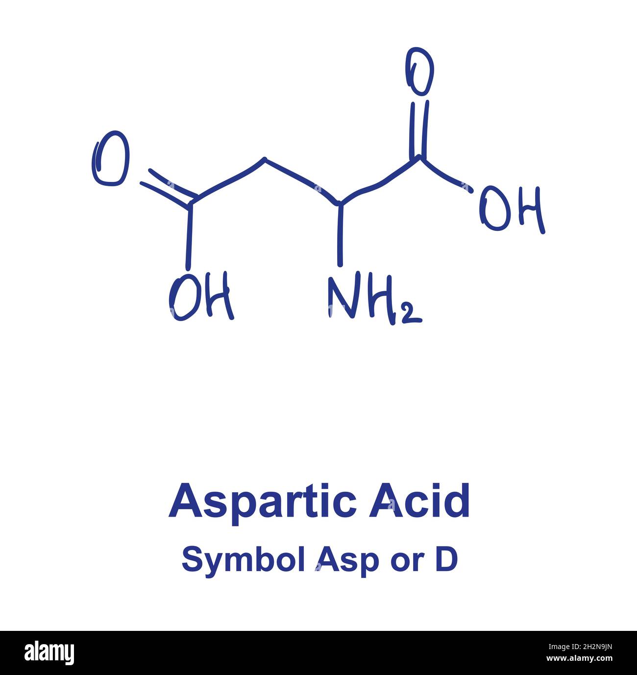 Asparaginsäure oder Aspartat chemische Struktur. Vektorgrafik von Hand gezeichnet Stock Vektor