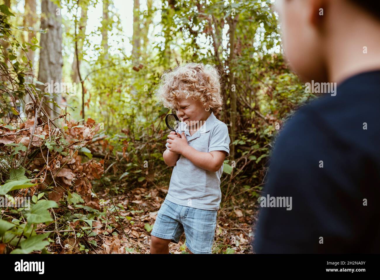 Junge mit männlichem Freund, der die Pflanze durch eine Lupe ansieht Stockfoto