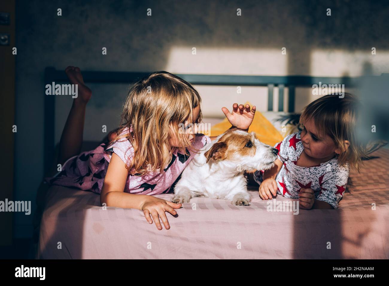 Blonde Mädchen, die Jack Russell Terrier auf dem Bett betrachten Stockfoto
