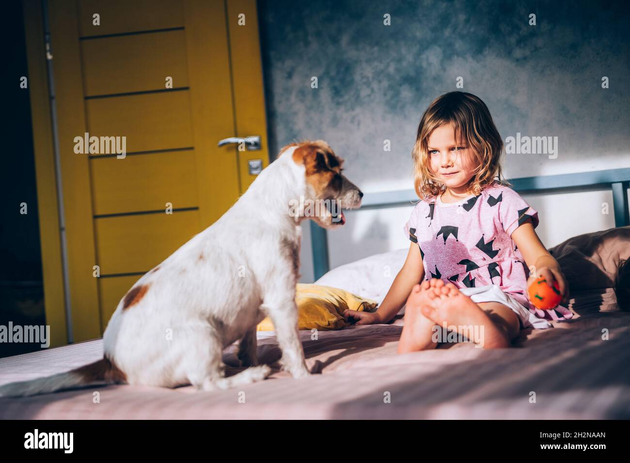Nettes Mädchen mit Spielzeug Blick auf Jack Russell Terrier auf dem Bett Stockfoto