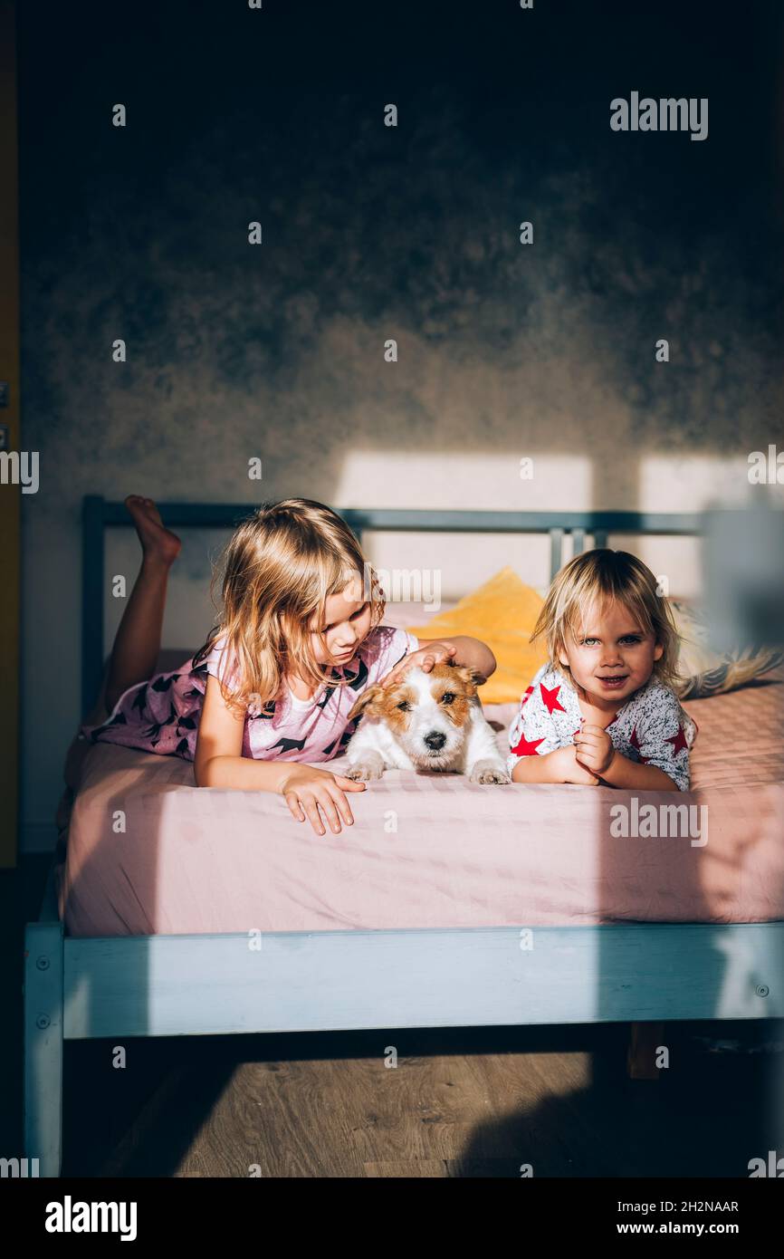 Jack Russell Terrier mit Mädchen auf dem Bett zu Hause Stockfoto
