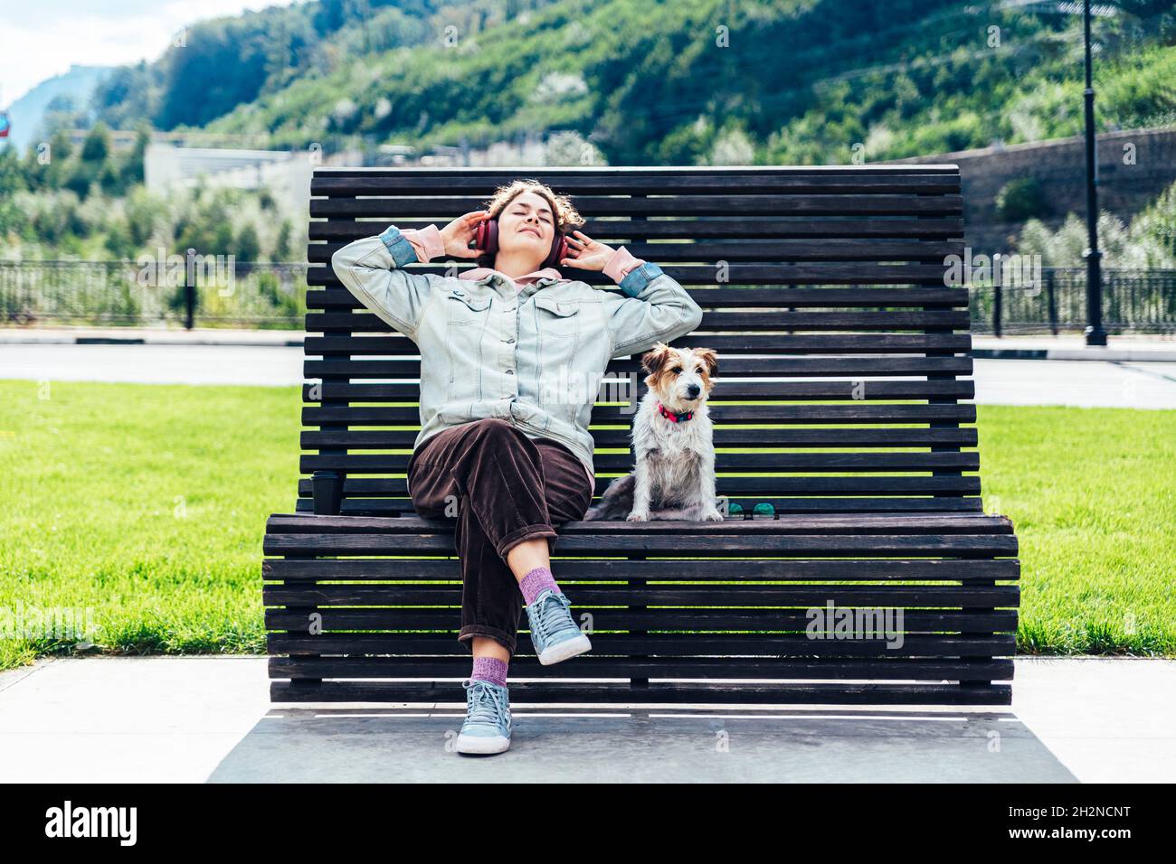 Jack Russell Terrier von einer Frau, die auf der Bank im öffentlichen Park sitzt Stockfoto