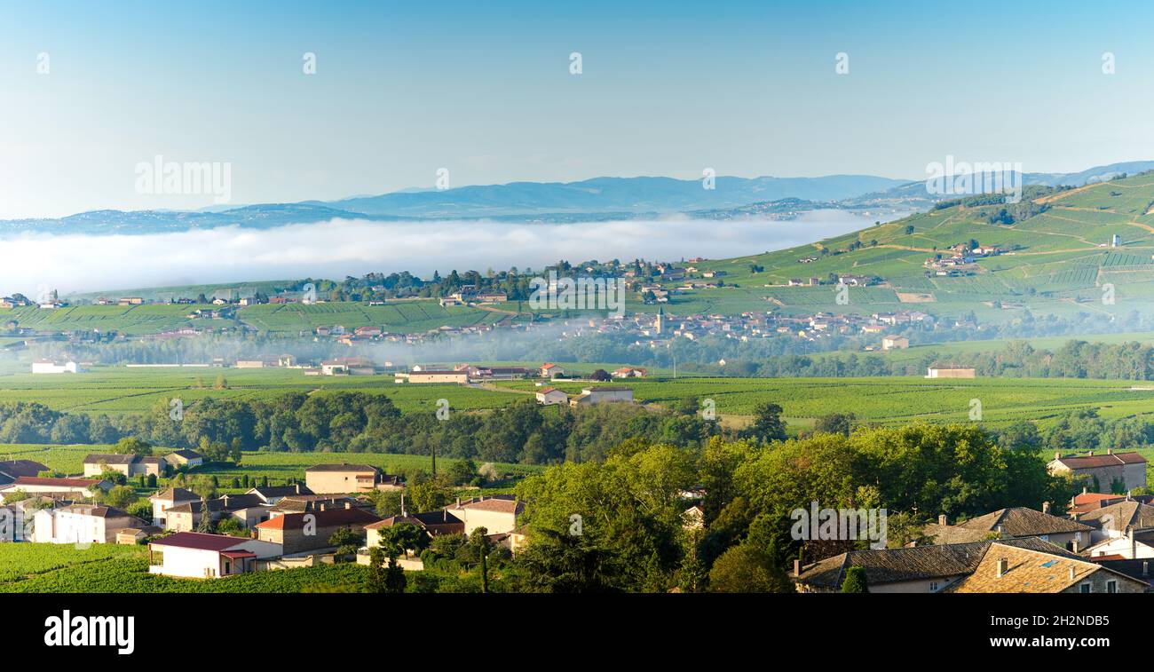 Vue panoramique sur le Village de Cercié et ses alentours, Beaujolais, Frankreich Stockfoto
