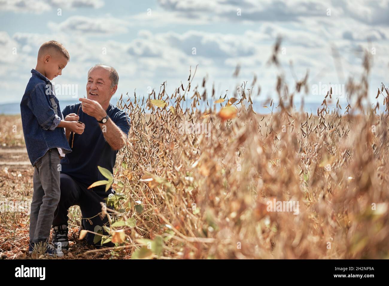 Lächelnder Großvater im Gespräch mit dem Enkel auf dem landwirtschaftlichen Gebiet Stockfoto