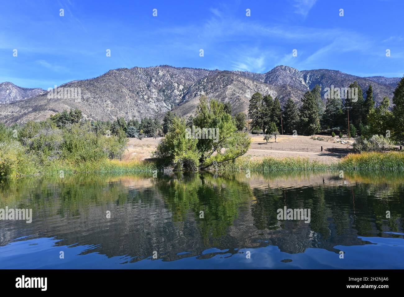Red-Wing Pond im Wildlands Conservancy Oak Glen Preserve in den Ausläufern der San Bernardino Mountains. Stockfoto
