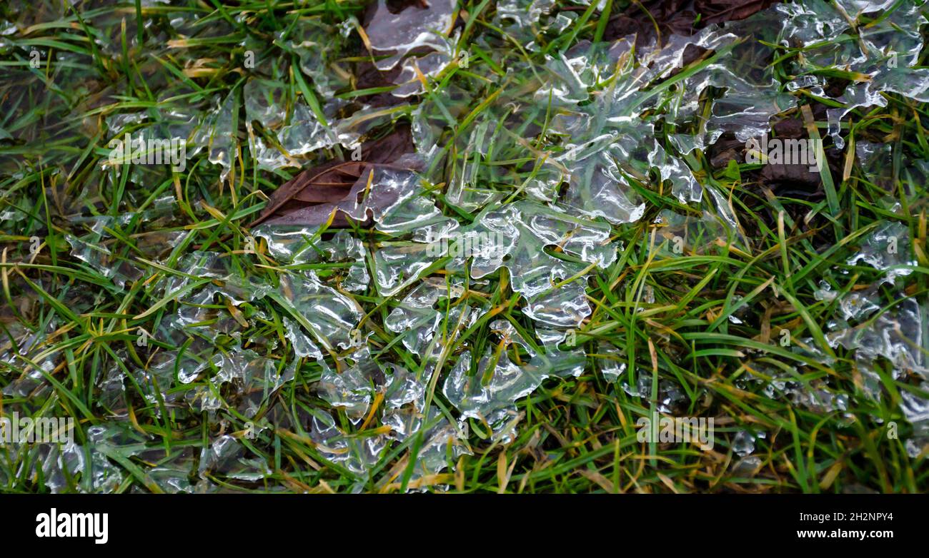 Glitzernde Eisstücke auf dem grünen Gras. Frühlingshintergrund mit Reim auf jungen Grüns. Schmelzendes Eis auf dem Boden. Junges Gras bricht durch das ic Stockfoto