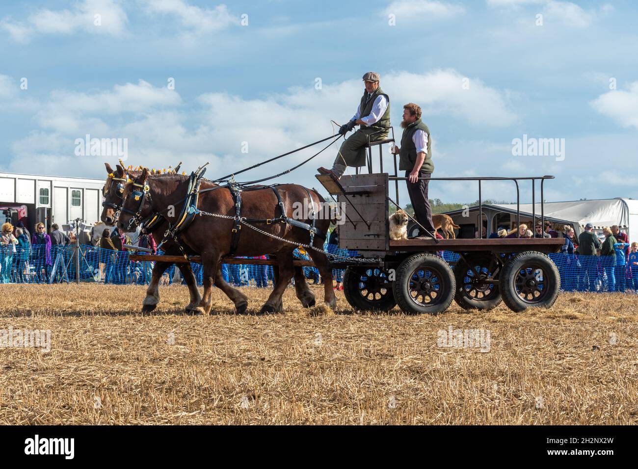 Heavy Horse Event, das große All England Pflügen Match in Droxford, Hampshire, England, Großbritannien, Oktober 2021 Stockfoto