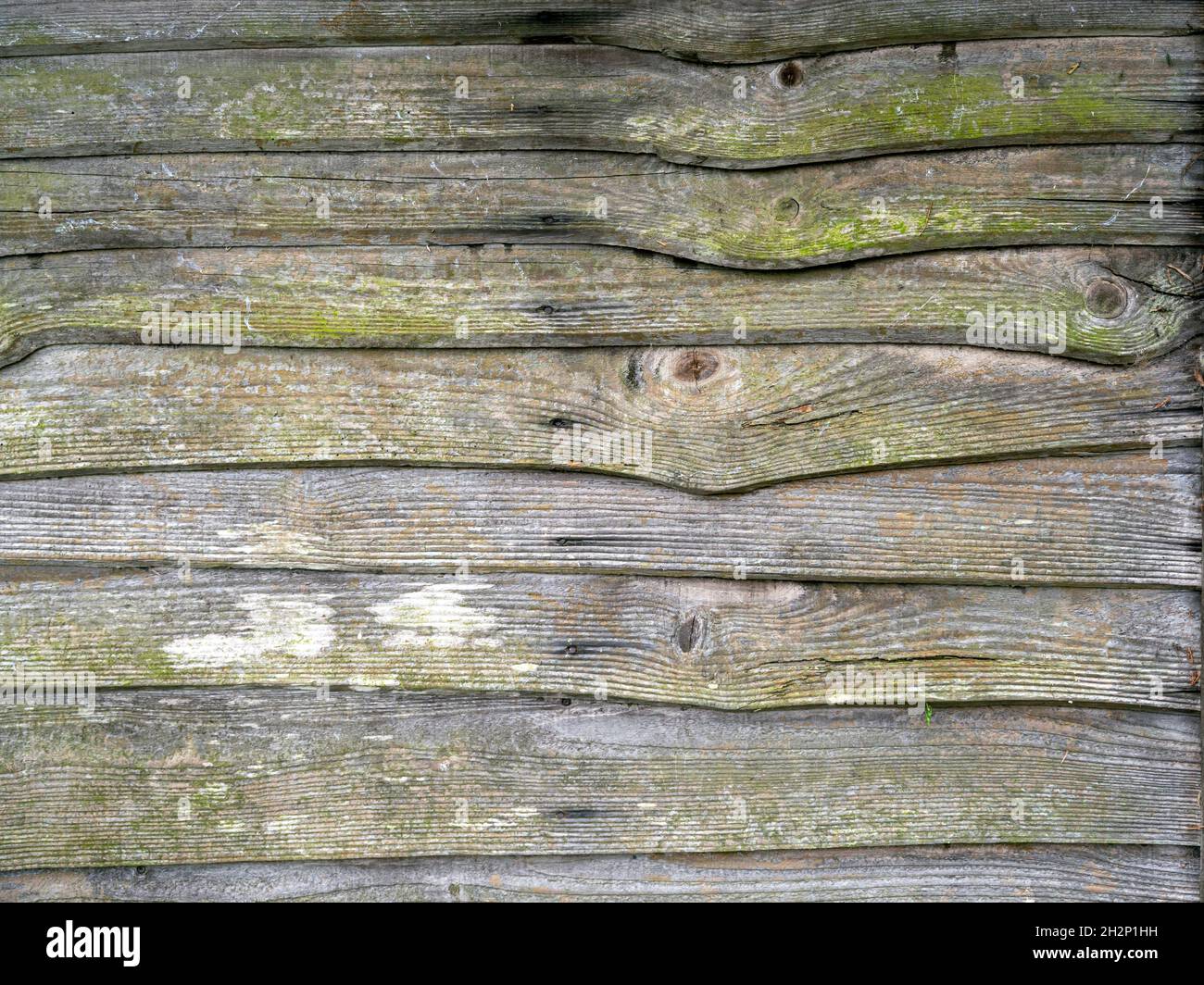 Holzlatten auf einem alten schimmeligen Gartenzaun Stockfoto