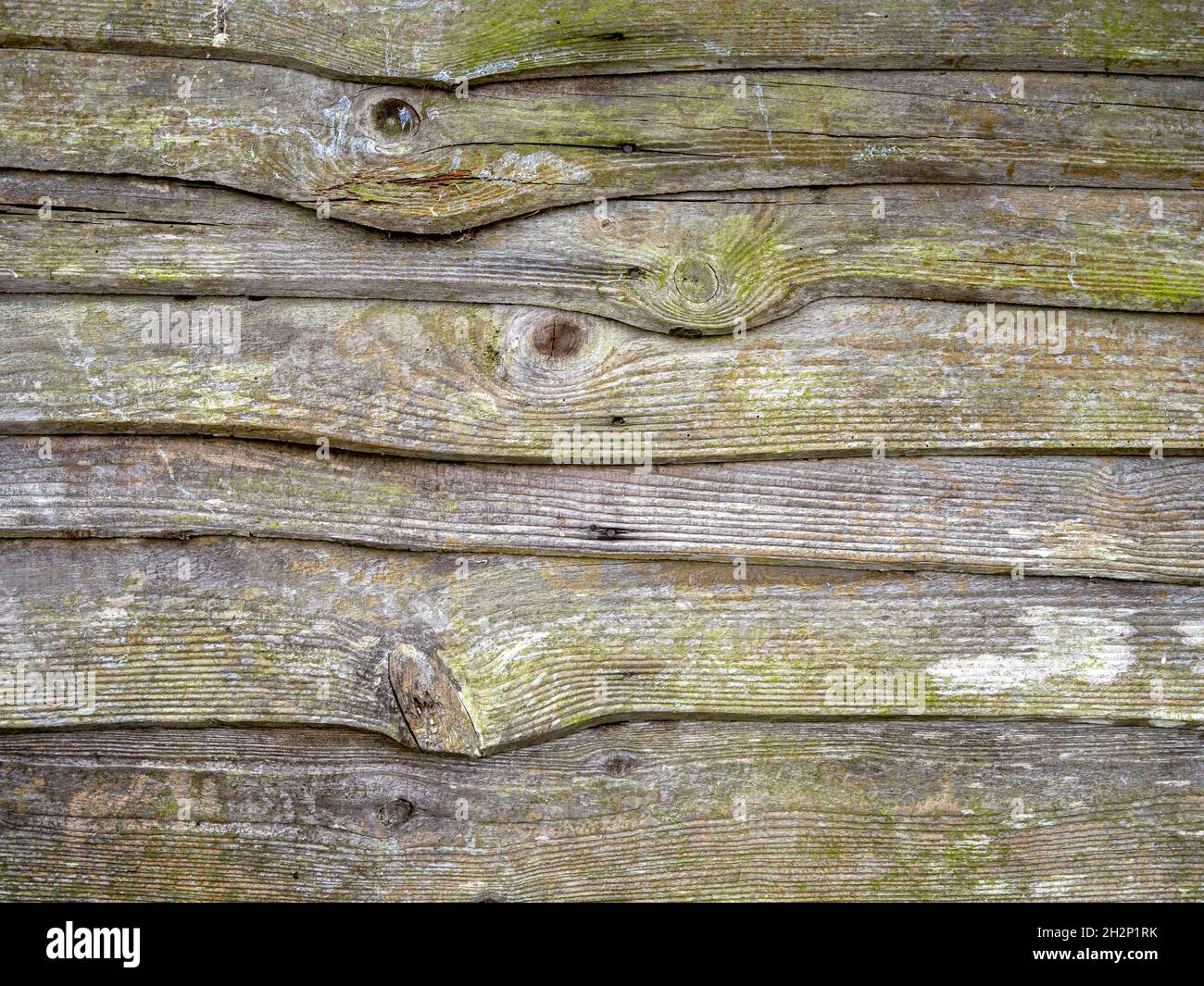 Holzlatten auf einem alten schimmeligen Gartenzaun Stockfoto