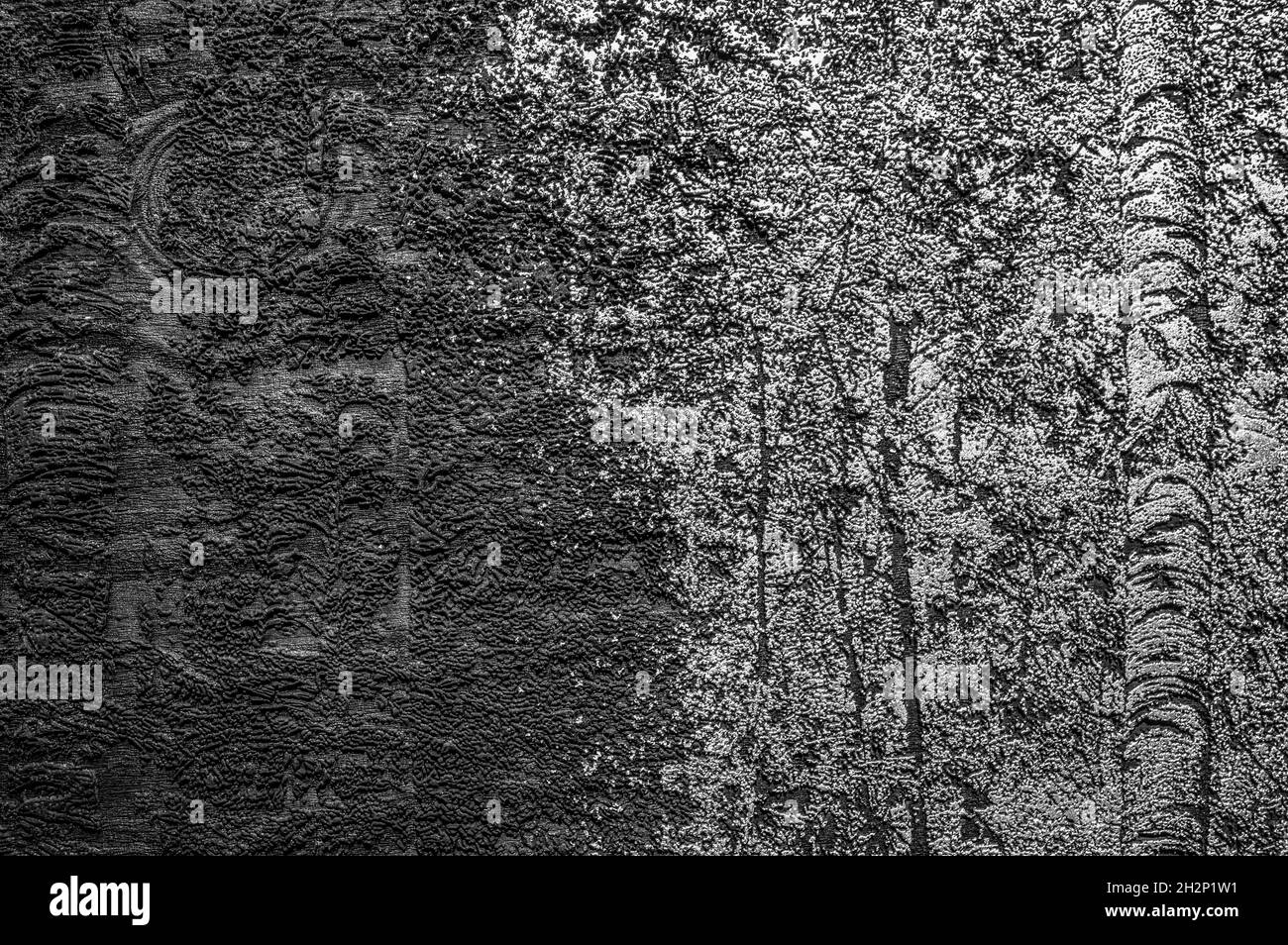 Abstraktes Bild, das einen allmählichen Transformationsprozess eines dichten Waldes in das nichts darstellt. Schwarz und Weiß. Stockfoto