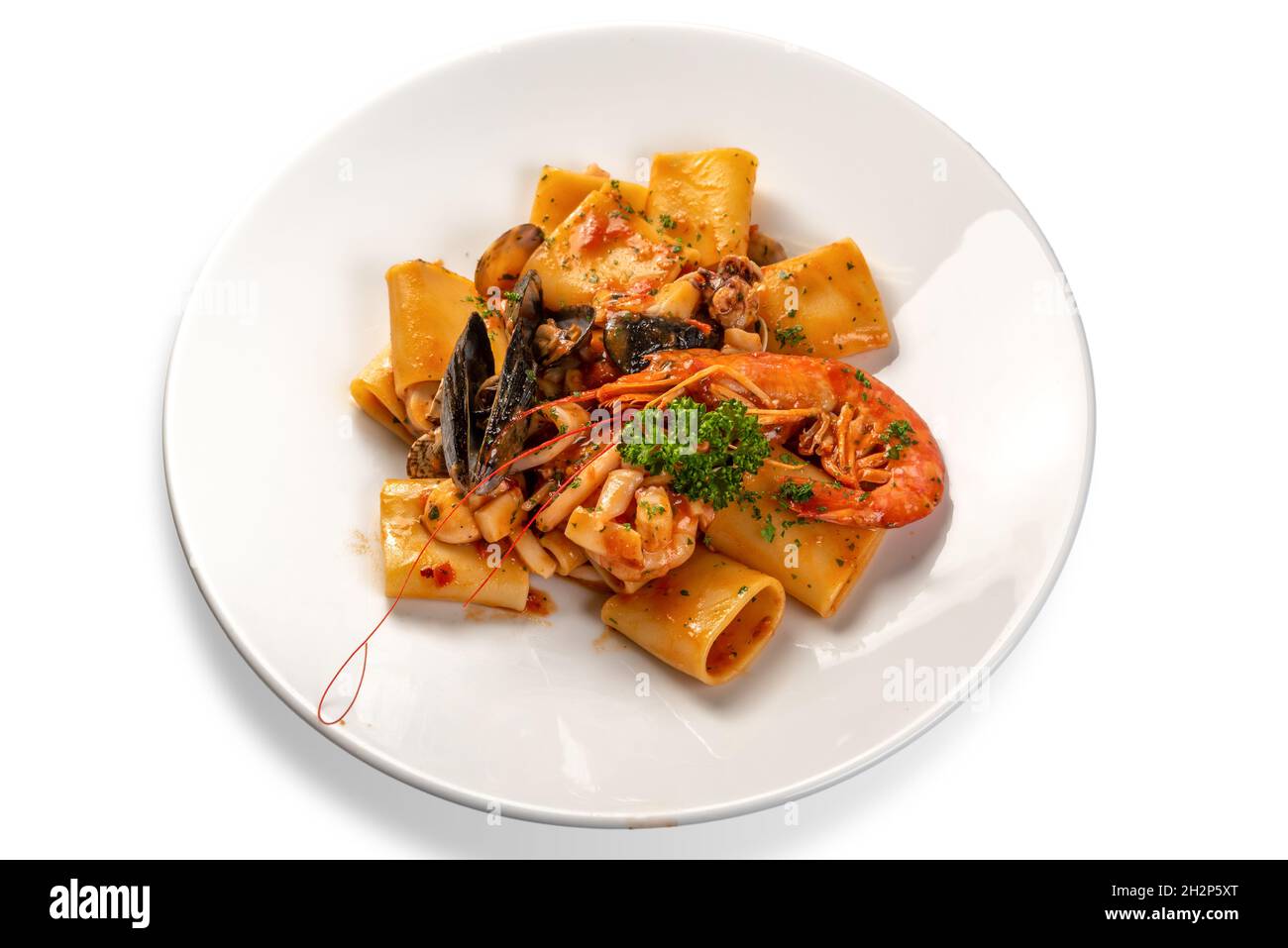 Paccheri Pasta mit Meeresfrüchten, typisch italienische Pasta mit Tomatensauce, Muscheln, Muscheln, Tintenfisch und Garnelen auf weißem Teller mit Petersilie auf weiß isoliert Stockfoto