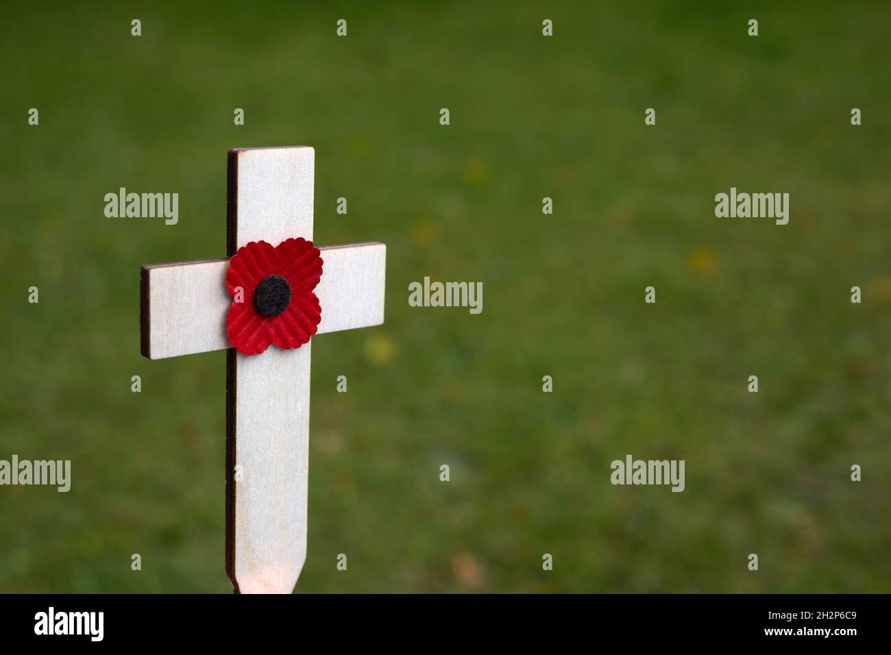 Rote Welpen Blume auf dem kleinen Holzkreuz im grünen Gras platziert. Mohngedenktag Kreuz auf einem Feld Stockfoto