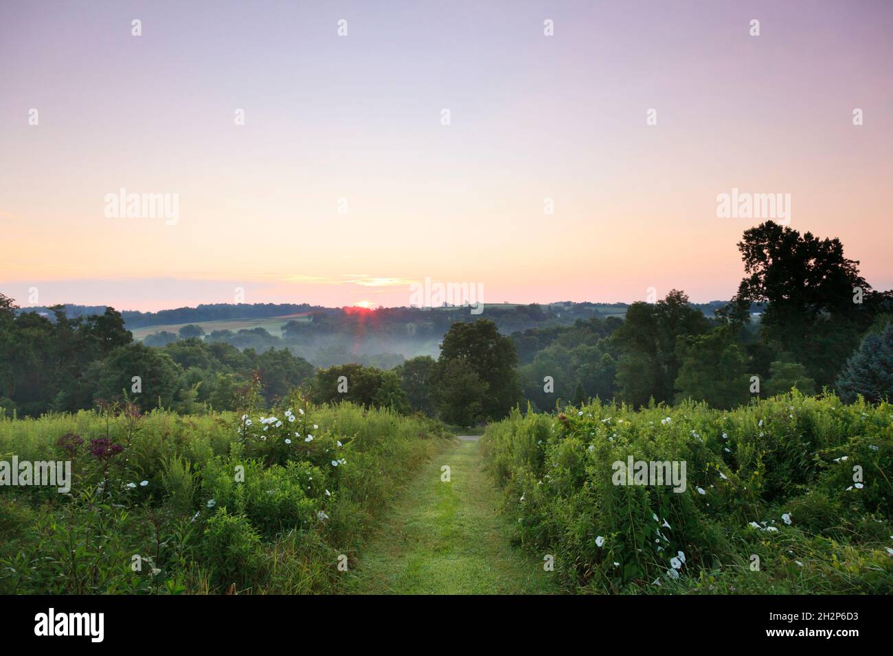 Pfad durch Feld mit nebliger Landschaft in Disctance, Holmes County, Ohio, USA Stockfoto