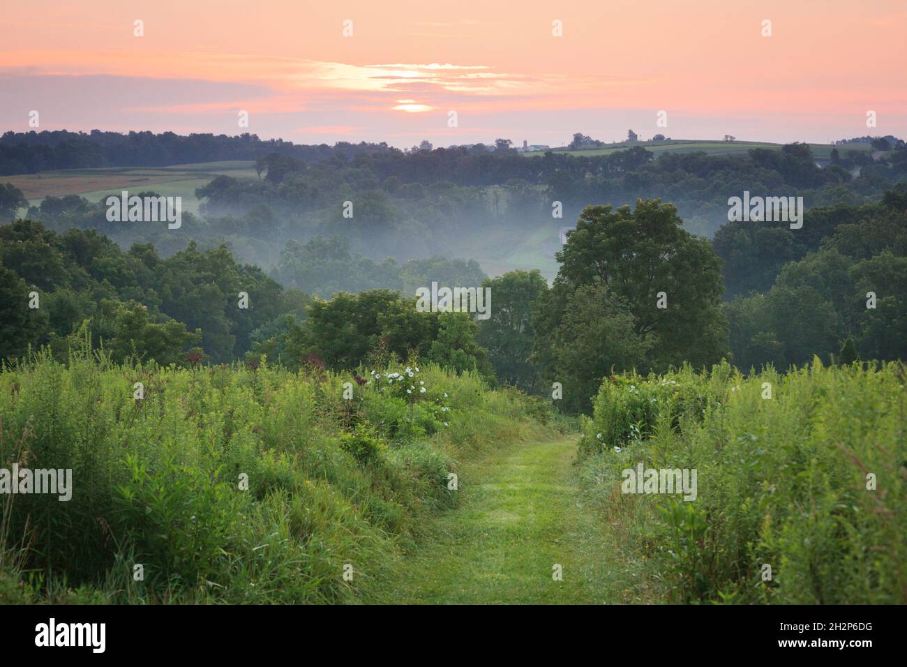Pfad durch Feld mit nebliger Landschaft in Disctance, Holmes County, Ohio, USA Stockfoto