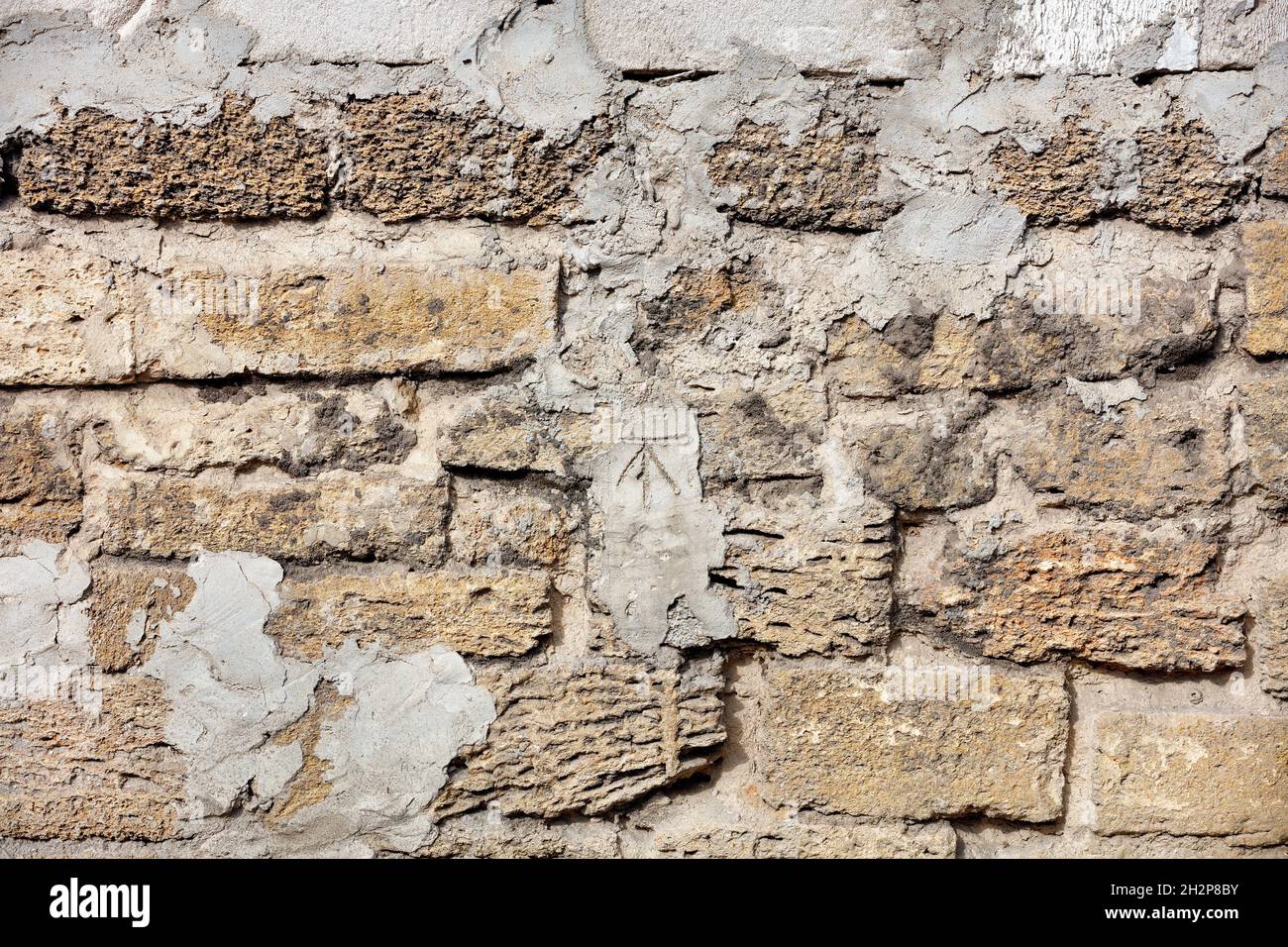 Fragment einer alten Muschelsteinwand, die mit Zementmörtel befleckt ist. Mehrere Schalensteine sind horizontal ausgelegt. Stockfoto