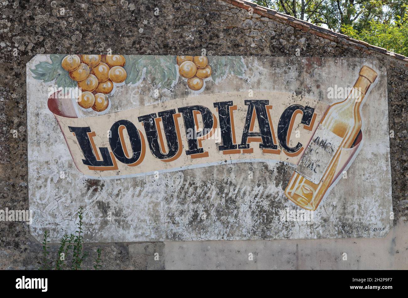 Der AOC Loupiac ist ein französisches Weingebiet, das vor allem für seine süßen Weißweine bekannt ist - und direkt gegenüber von Sauternes Stockfoto