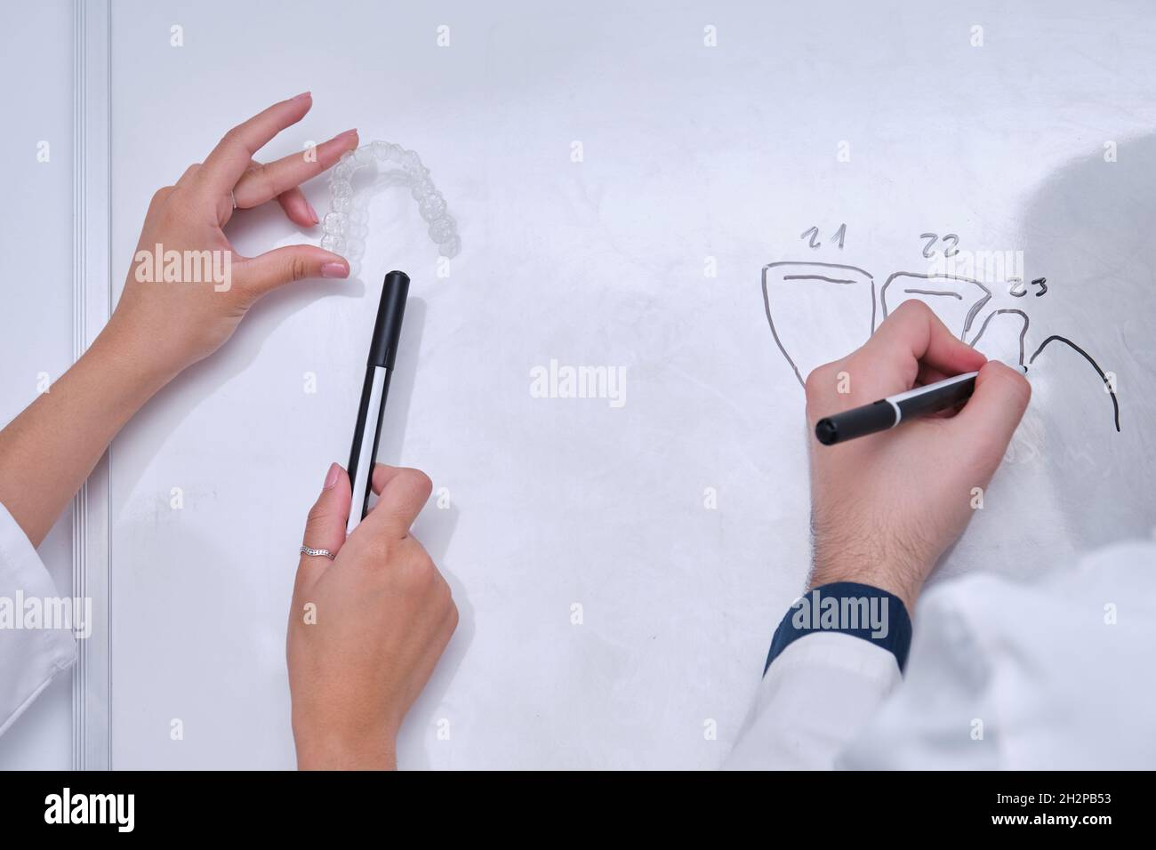 Zwei zahnärztliche Forscher untersuchen die Zahnanatomie auf einem Whiteboard. Stockfoto