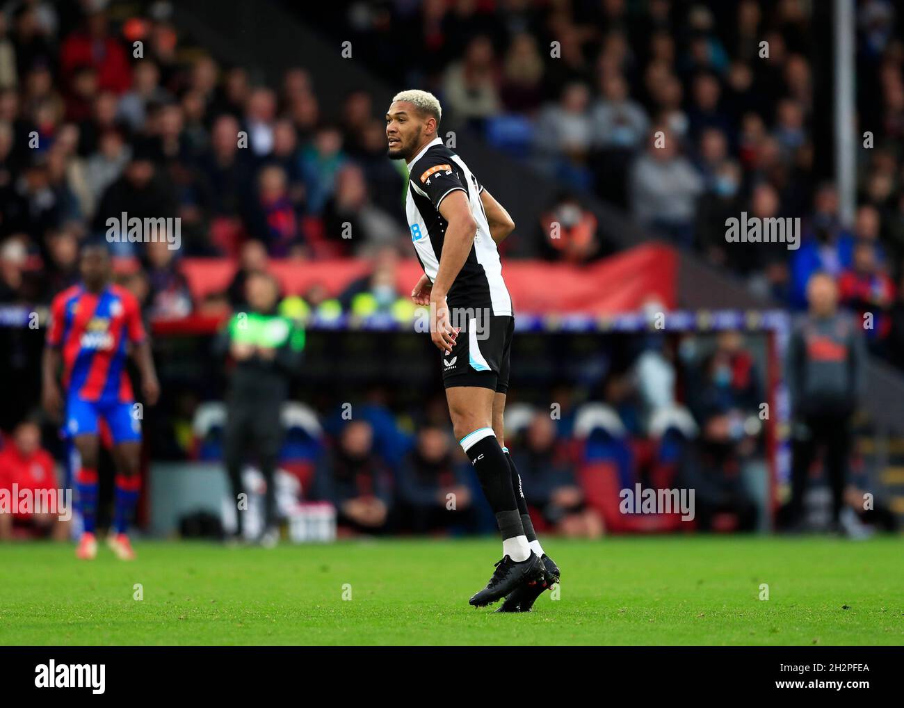 23. Oktober 2021; Selhurst Park, Crystal Palace, London, England; Premier League Fußball, Crystal Palace gegen Newcastle: Joelinton von Newcastle United Stockfoto