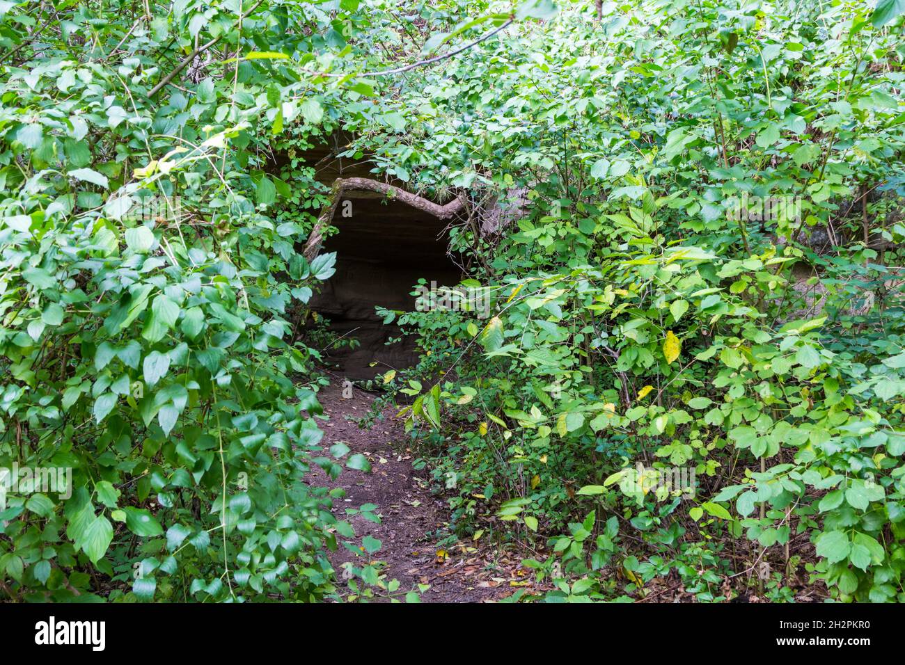 Der Eingang der Otto-barlang (Otto-Höhle), an der ungarisch-österreichischen Grenze in Dudlesz-erdo, in der Nähe von Sopron, Ungarn Stockfoto