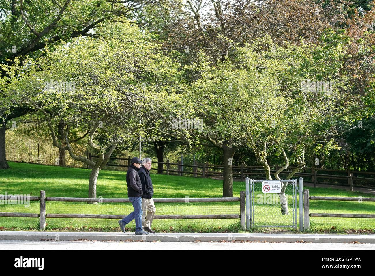 Ein altes Paar, das im Hochpark von Toronto, Kanada, spazieren geht Stockfoto