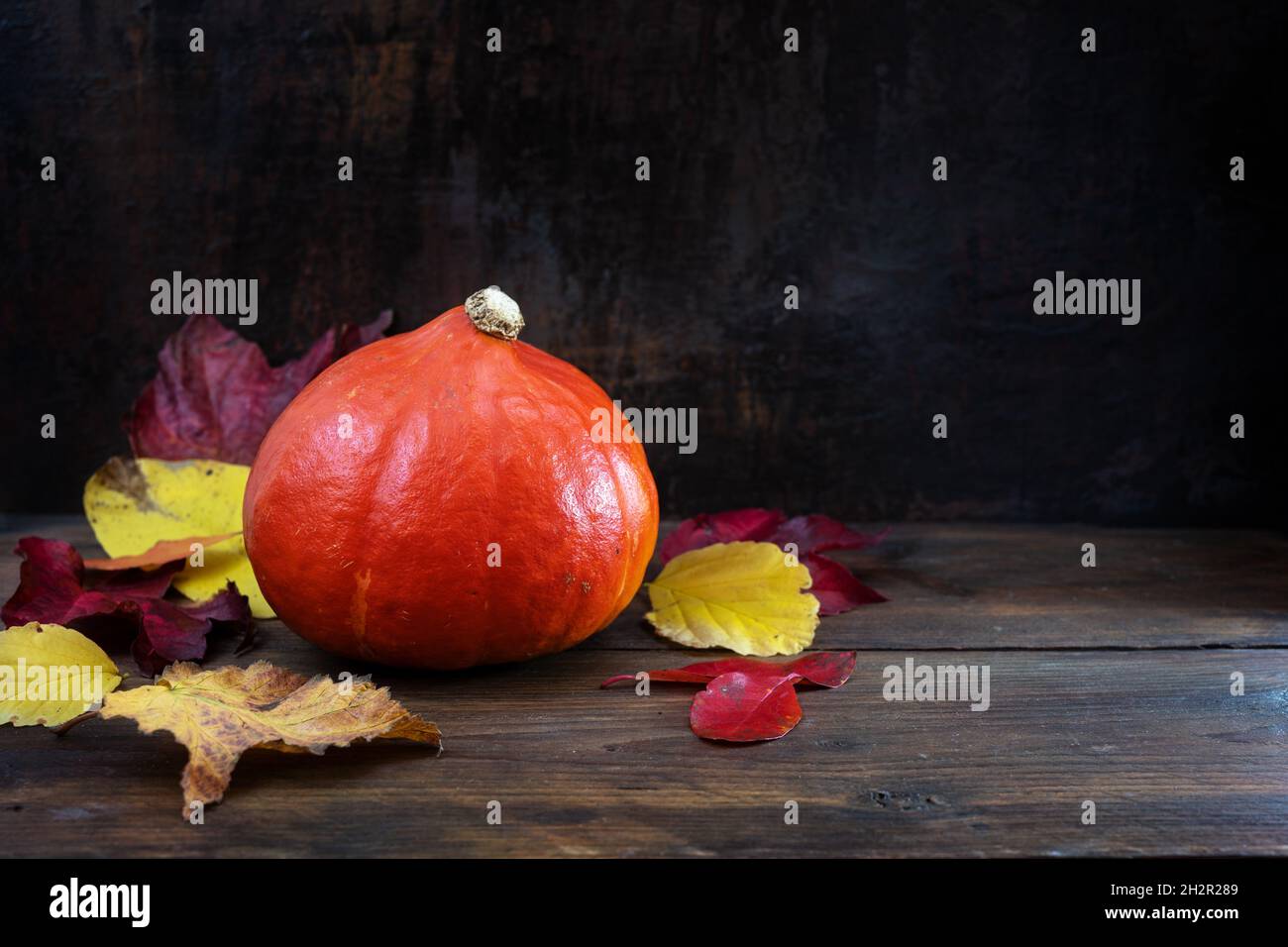 Roter Kuri-Kürbis oder Hokkaido-Kürbis auf dunklen rustikalen Holzplanken mit Herbstblättern, saisonales Gemüse für Thanksgiving und Halloween, Kopierraum, se Stockfoto
