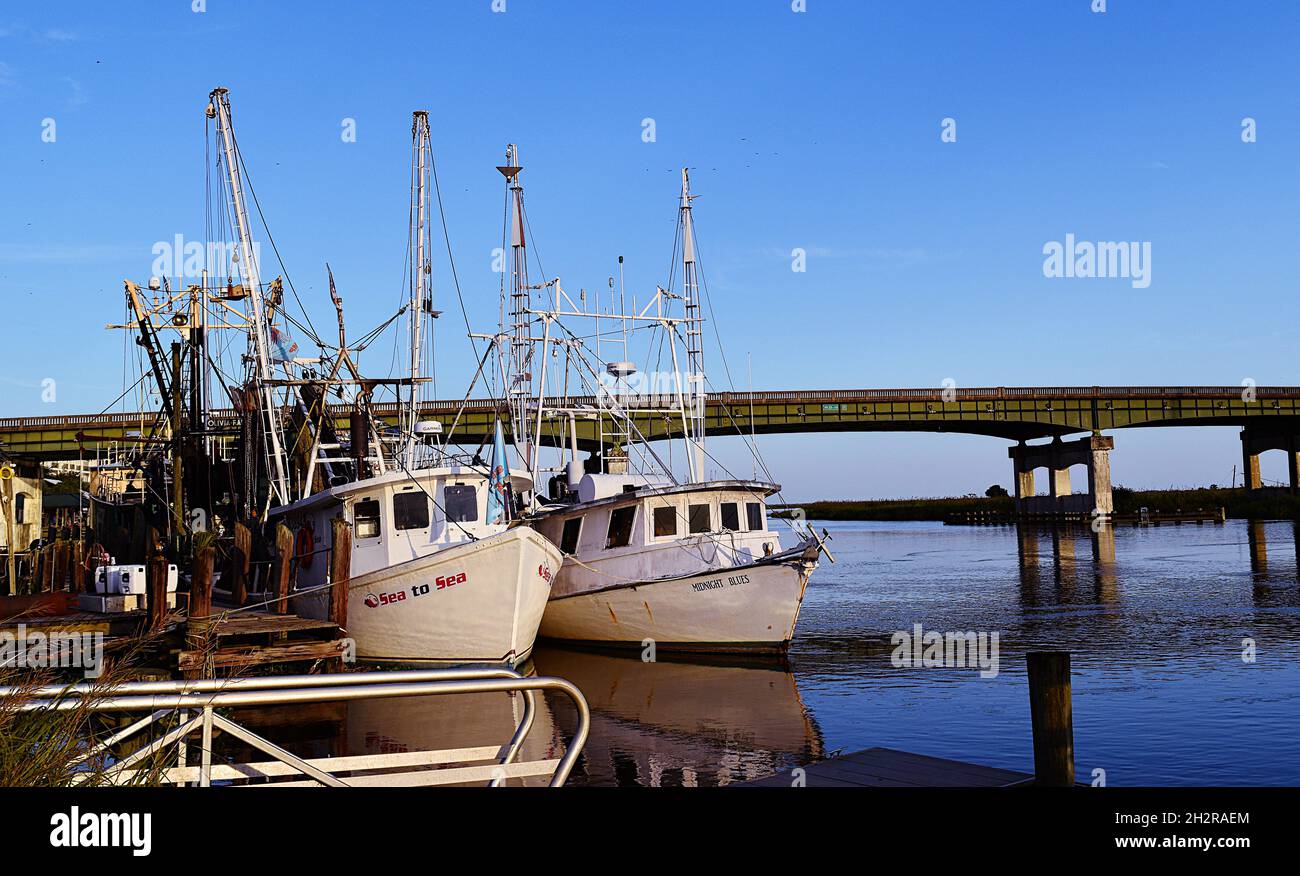 Fischerboote in Darien GA Stockfoto