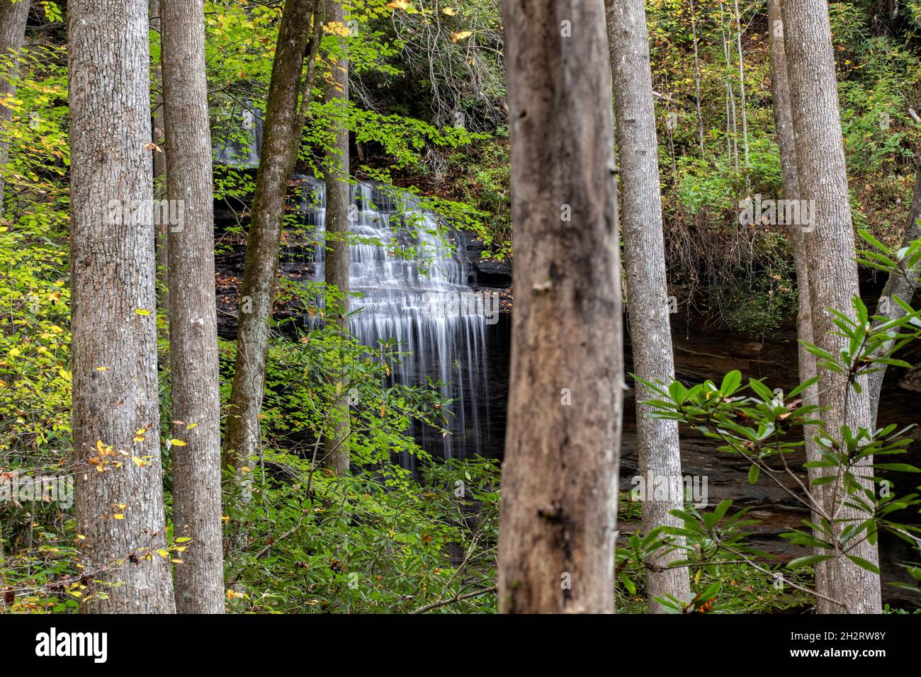 Moore Cove Falls, eingerahmt vom Wald - Pisgah National Forest, Brevard, North Carolina, USA Stockfoto