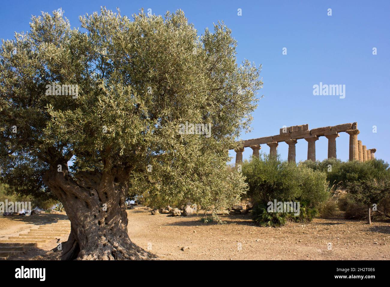 ITALIEN. SIZILIEN. AGRIGENT. TAL DER TEMPEL Stockfoto