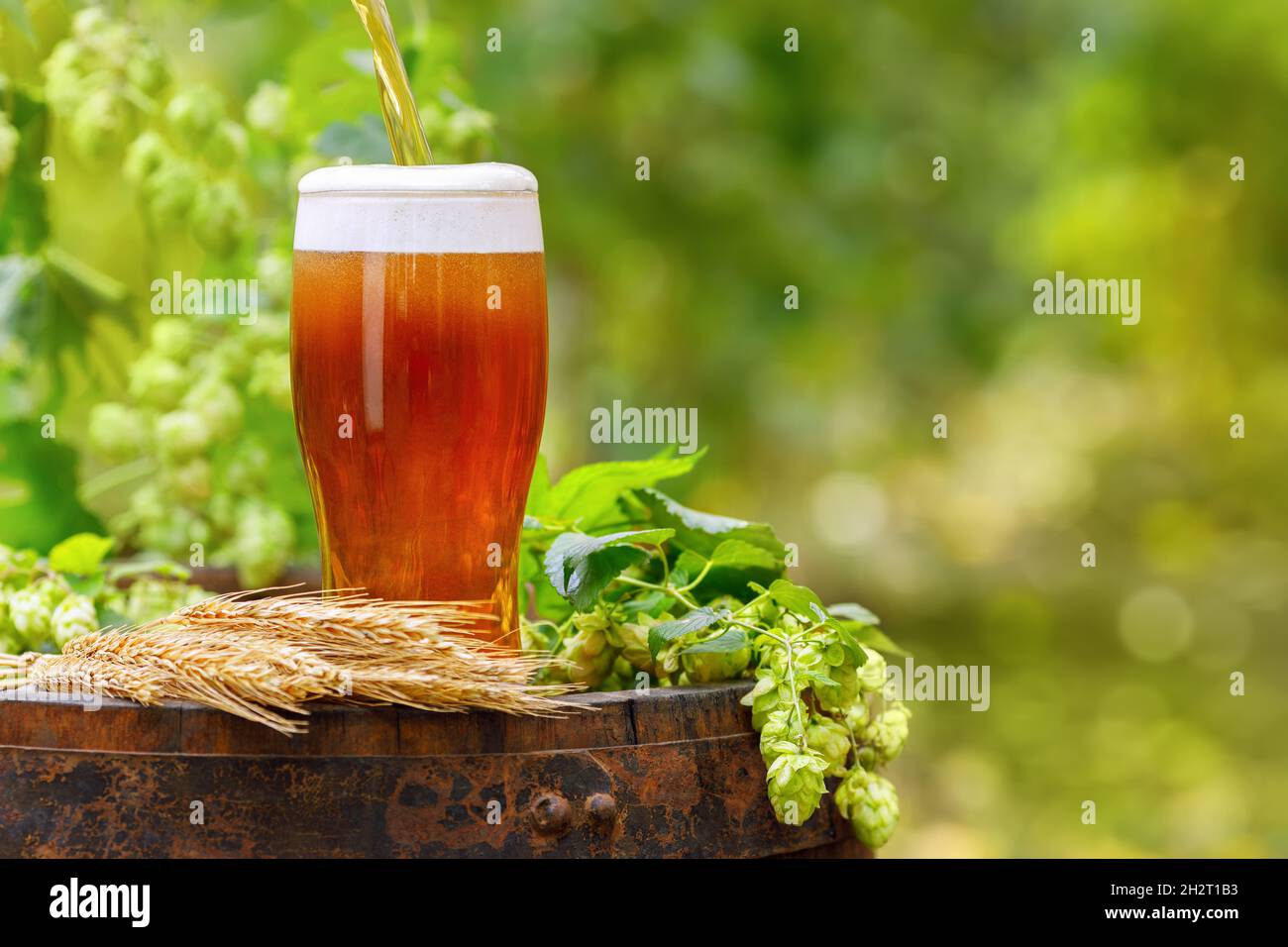Bier in Glas auf Holzfass gießen Stockfoto