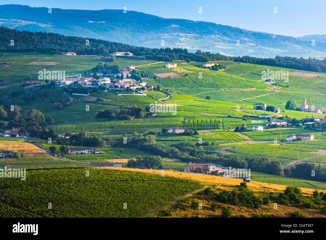 Typisches Dorf des Beaujolais Land mit seinen Weinbergen rund um, Frankreich Stockfoto