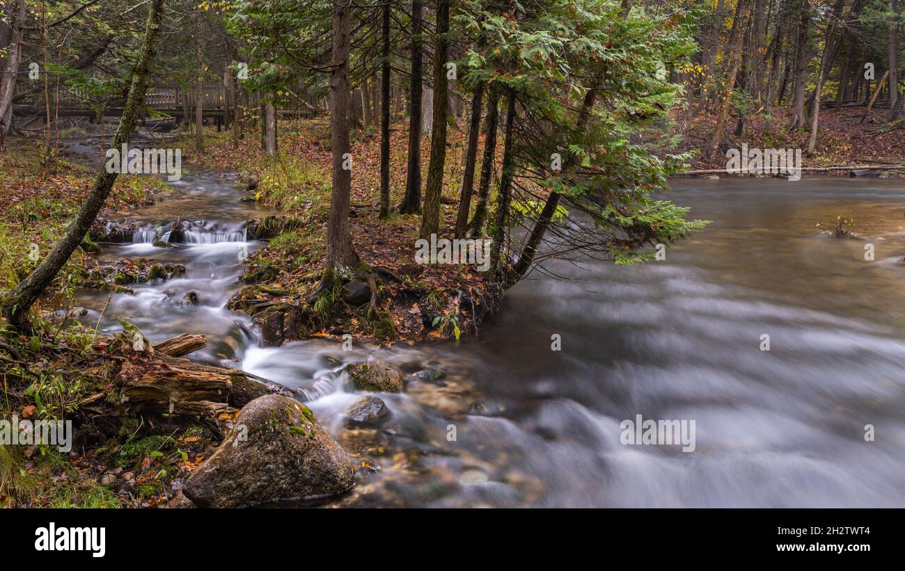 Die Nebenflüsse des Rapid River schlängeln sich und verschmelzen im Naturgebiet Seven Bridges, Rapid City, Michigan. Stockfoto