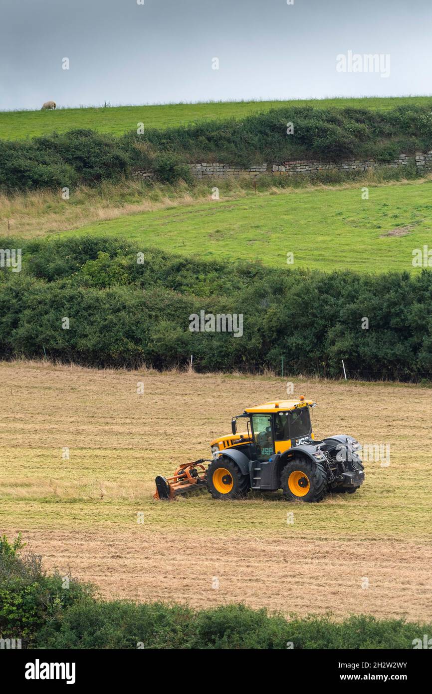 Ein JCB Fastrac 4220 Hochgeschwindigkeits-Landtraktor mit einem Teagle Flail Topper, der auf einem Feld in Newquay in Cornwall arbeitet. Stockfoto
