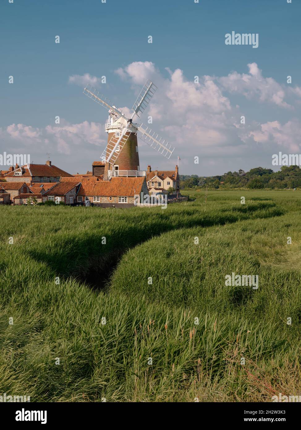 Mit Blick über die Schilfbetten von Cley Marshes nach Cley Windmill/Towermill, North Norfolk Heritage Coast Village of Cley next the Sea, England, Großbritannien Stockfoto