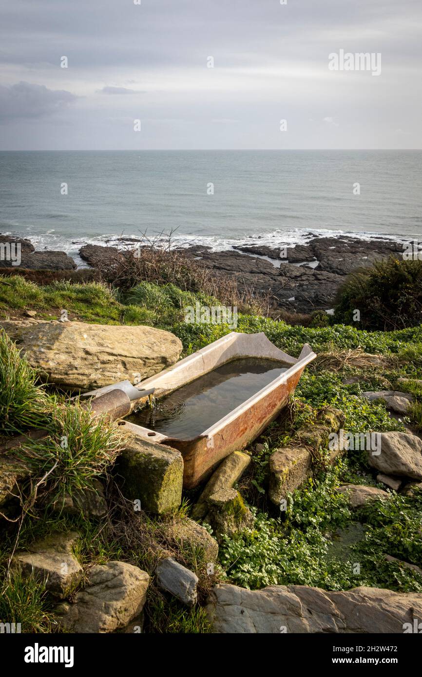 Bad Wasserwanne in der Nähe des Meeres auf dem Feld in Süd-Devon Stockfoto