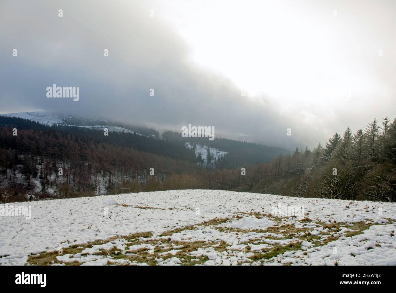 Wintertag in der Nähe von Chapel House Farm im Macclesfield Forest Macclesfield Cheshire England Stockfoto