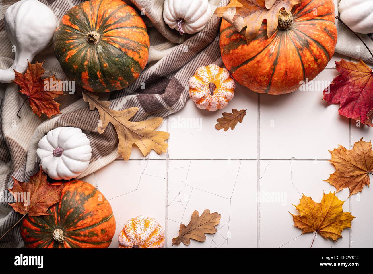 Herbst-Gartenflagge 'Welcome Fall' – Blauer Kürbis, Wetterfest, Doppelseitig Bedruckt